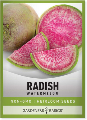 Qualtivate HYB-9A Watermelon Radish Seeds Seed(300 per packet)