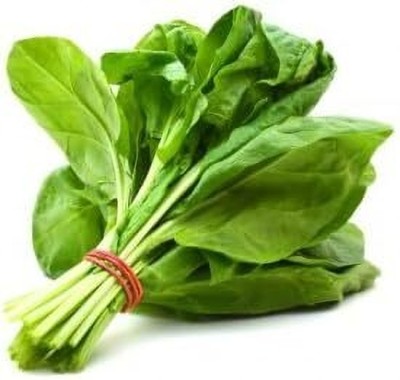 LPR SPINACH , PALAKH Seed(500 per packet)