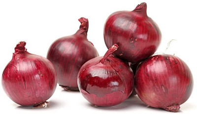 Biosnyg Organic Red Nasik Onion Seeds for Terrace Gardening-(750 Seeds) Seed(750 per packet)