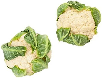 WILLVINE MAH -IV Snowball Y Improved Cauliflower Heirloom[5g, 1500 Seeds] Seed(1500 per packet)