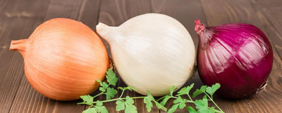 Qualtivate PUAS-4A Onion Rainbow Mix Neutral Seeds Seed(500 per packet)