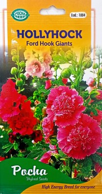 KRASHAK Hollyhock flower Seed(2 per packet)