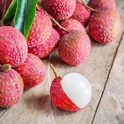 Aywal Litchi, Lychee, Litchi, Lichi, Lichee Fruit Seeds Seed(19 per packet)