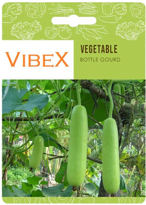 Biosnyg Bottle Gourd Seeds-[50 Seeds] Seed(50 per packet)