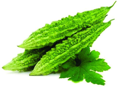 Paudhaa F1 BEST QUALITY BITTER GOURD SEEDS Seed(13 per packet)