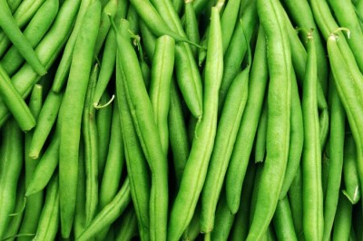 Aywal Green 'Domino' French Beans Seed(23 per packet)