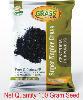 grassland SUPER NAPIER GRASS SEED HIGH YIELD 100 GRAM HYBRID FODDER GRASS SEED Seed(100 g)