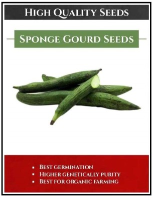 Qualtivate HUA-2A Hybrid Sponge Gourd Garima Seeds Seed(50 per packet)