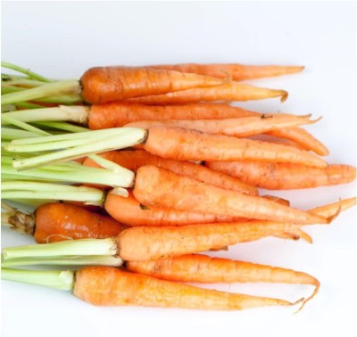 Biosnyg QCO-3 Little Finger Carrot (Daucus carota)-[200 Seeds] Seed(200 per packet)