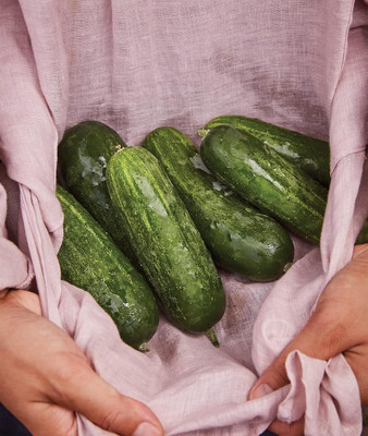 Qualtivate HYB-7A Supremo Pickling Cucumber Seeds Seed(300 per packet)