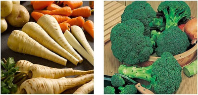 CYBEXIS Parsnip - Tender and True & Broccoli Green Seed(10 g)