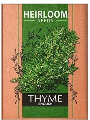 Biosnyg Thyme English-[1000 Seeds] Seed(1000 per packet)