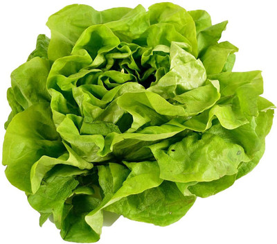 TRICONE Lettuce Seed(350 per packet)
