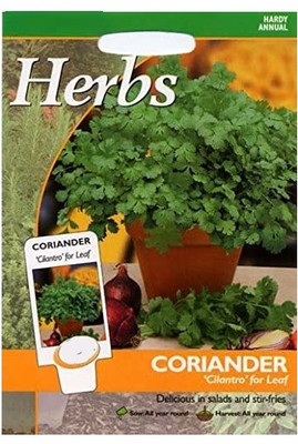 WILLVINE Multi Cutting Hybrid Coriander Seeds-[200 Seeds] Seed(200 per packet)