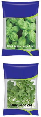 VibeX ™ XLL-925- Basil & Rocket Herb Combo Seed(25 per packet)
