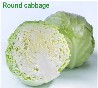 MYLAWN Chinese round cabbage Seed(500 per packet)