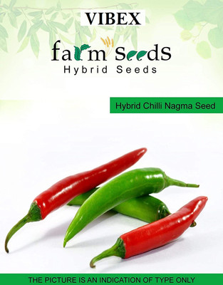 WILLVINE Hybrid Chilli Nagma seeds-(4000 Seeds) Seed(4000 per packet)