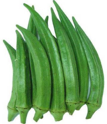 BHUSAN Ladyfinger Bhindi Seeds( 300 Seeds ) Seed(20 per packet)