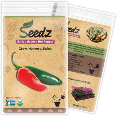 KNESSiN High Yield Hot Jalapeno Pepper Seeds For Kitchen Gardening-(2400 Seeds) Seed(2400 per packet)