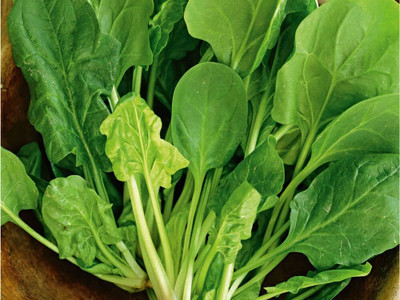 Aywal Organic Desi Green Spinach Palak Seed(19 g)
