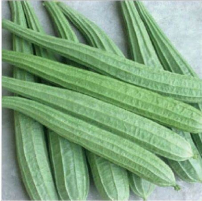 CYBEXIS ATS-67 - Sponge Gourd (Tori) - (100 Seeds) Seed(100 per packet)