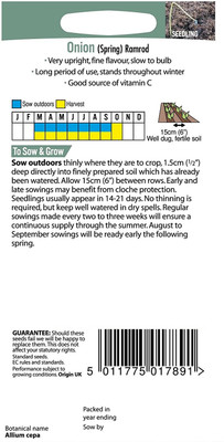WILLVINE Spring Onion Ramrod-[5000 Seeds] Seed(5000 per packet)