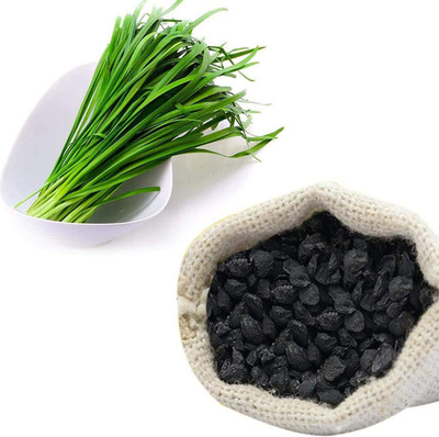CYBEXIS Heirloom Hybrid Chives Seeds2800 Seeds Seed(2800 per packet)