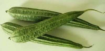 XOLDAA FI QUALITY RIDGE GOURD Seed(12 per packet)