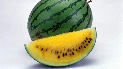 Qualtivate GBPT-6A Yellow Watermelon Fruits Non GMO Seed(100 per packet)
