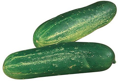 Avysa Cucumber Sweet Success F1 Seed-CuC_627 Seed(100 per packet)