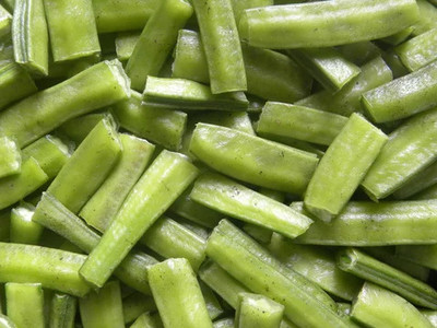 XOLDAA CLUSTER BEANS SEEDS Seed(50 per packet)