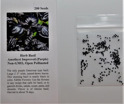 Qualtivate NDIR-2 Amethyst Improved Purple Basil Seed(1000 per packet)