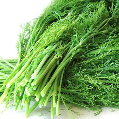 KNESSiN Fennel Seed(200 per packet)