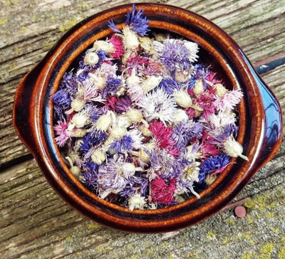 ACCELCROP CORNFLOWER MIXED FLOWER Seed(36 per packet)
