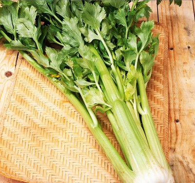 ENTENT CELERY MARSHMALLOW Seed(150 per packet)