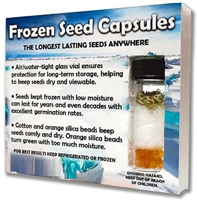 WILLVINE FROZEN SEED CAPSULES of Rama Tulsi-[2000 Seeds] Seed(2000 per packet)