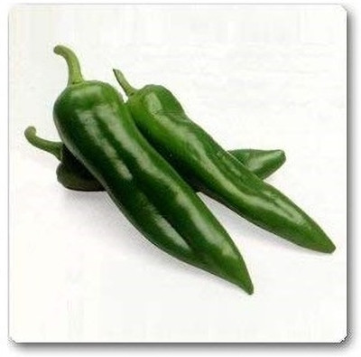 WILLVINE F1 HYBRID CHILLI VASUDHA SEEDS-[3000 Seeds] Seed(3000 per packet)