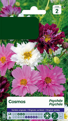 CYBEXIS Varied Packet Seeds Cosmos Psyche Seed(50 per packet)