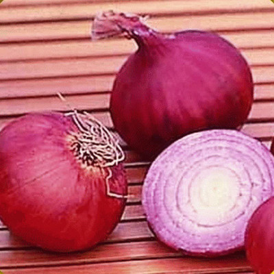 WILLVINE LXI-748 Red Grano Onion Seeds-3000 Seeds Seed(3000 per packet)