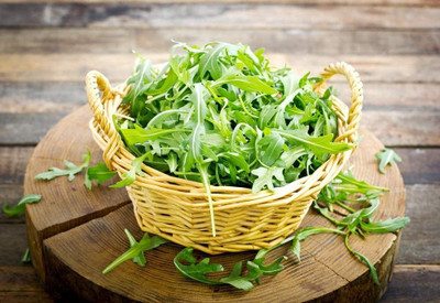 CYBEXIS TLX-92 - Rocket Arugula - (2250 Seeds) Seed(2250 per packet)