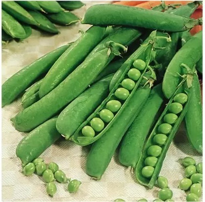 MAA Pea, Green Peas, Matar Seed(31 per packet)