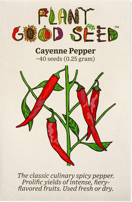 Qualtivate HYB-8A Cayenne Chilli Pepper Seed(300 per packet)