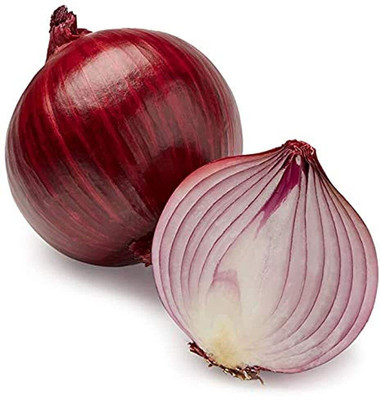 WILLVINE NKR -IX Onion Red Nashik Vegetable Seeds [2.5g] Seed(1500 per packet)
