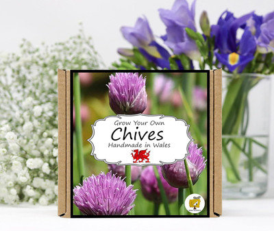 Qualtivate GBPT-4A Chives Seeds Seed(300 per packet)