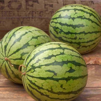 BJUBAS Seeds watermelon pack of 55 Seed(55 per packet)