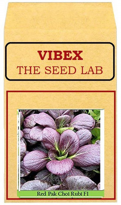 CYBEXIS Red Pak Choi Hybrid Seeds2000 Seeds Seed(2000 per packet)