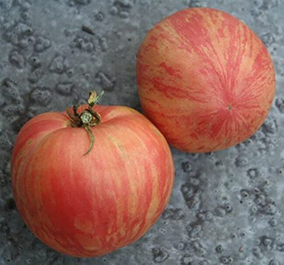 CYBEXIS Heirloom Red Boar Tomato Seeds2000 Seeds Seed(2000 per packet)