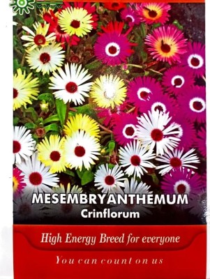 KRASHAK Winter flower seeds Seed(2 per packet)