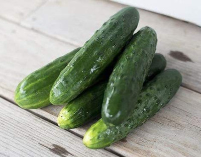 CYBEXIS KGF -88 - Long Green Improved Cucumber - (150 Seeds) Seed(150 per packet)