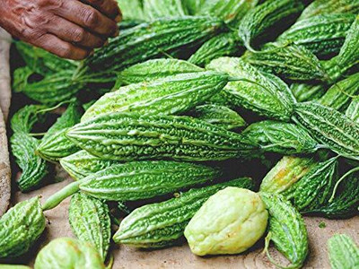 CRGO KARELA , BITTERGOURD Seed(45 per packet)